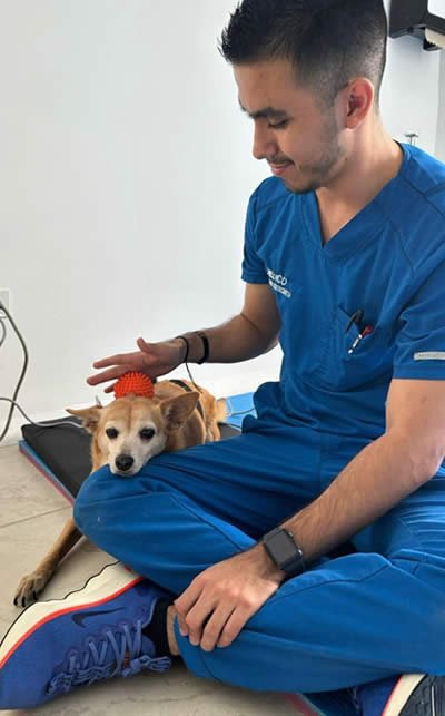Médico Veterinario Juan Esteban Cabrera Alzate